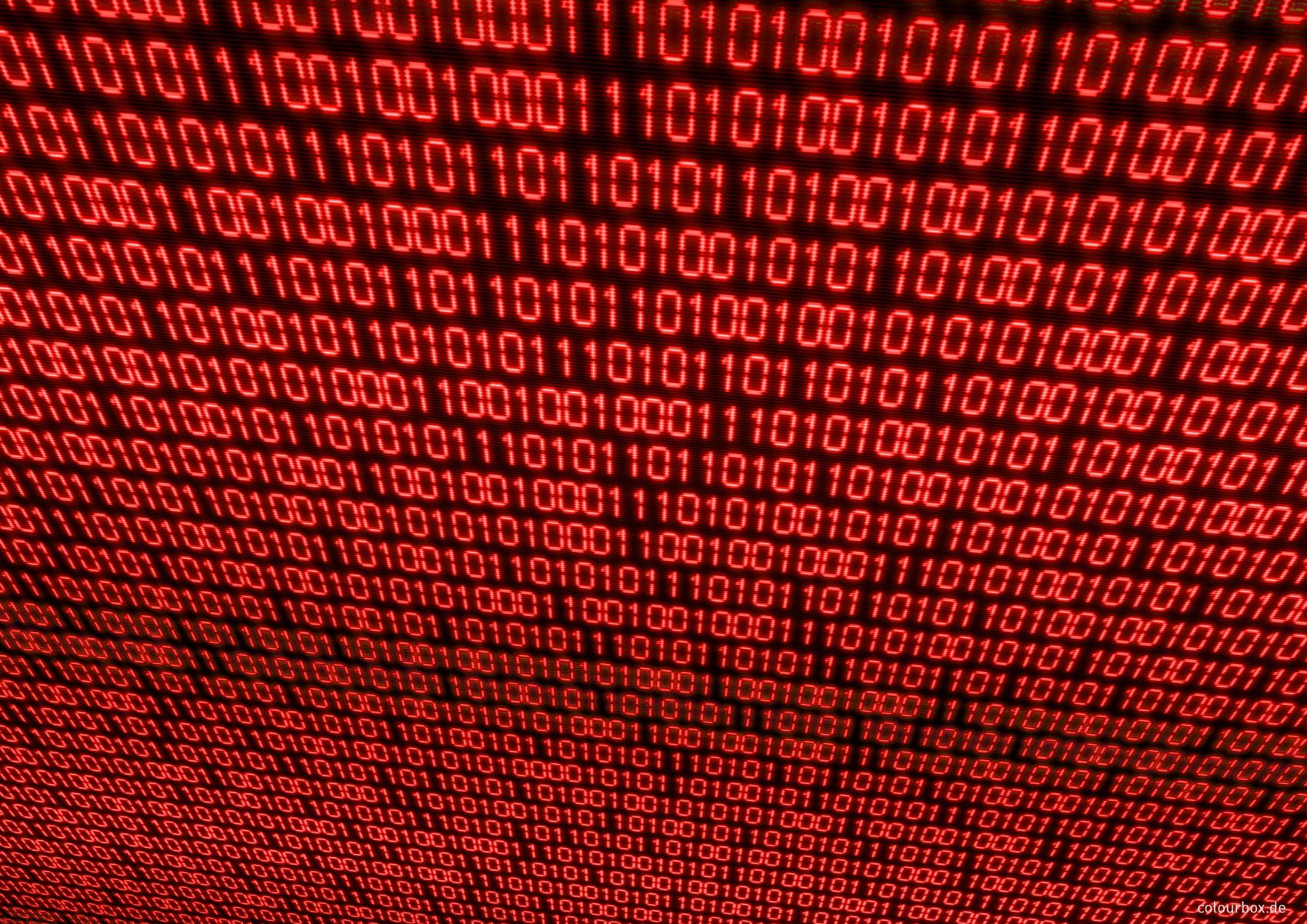 IT-hautnah: Dein Tag als Technikprofi bei BUCS IT