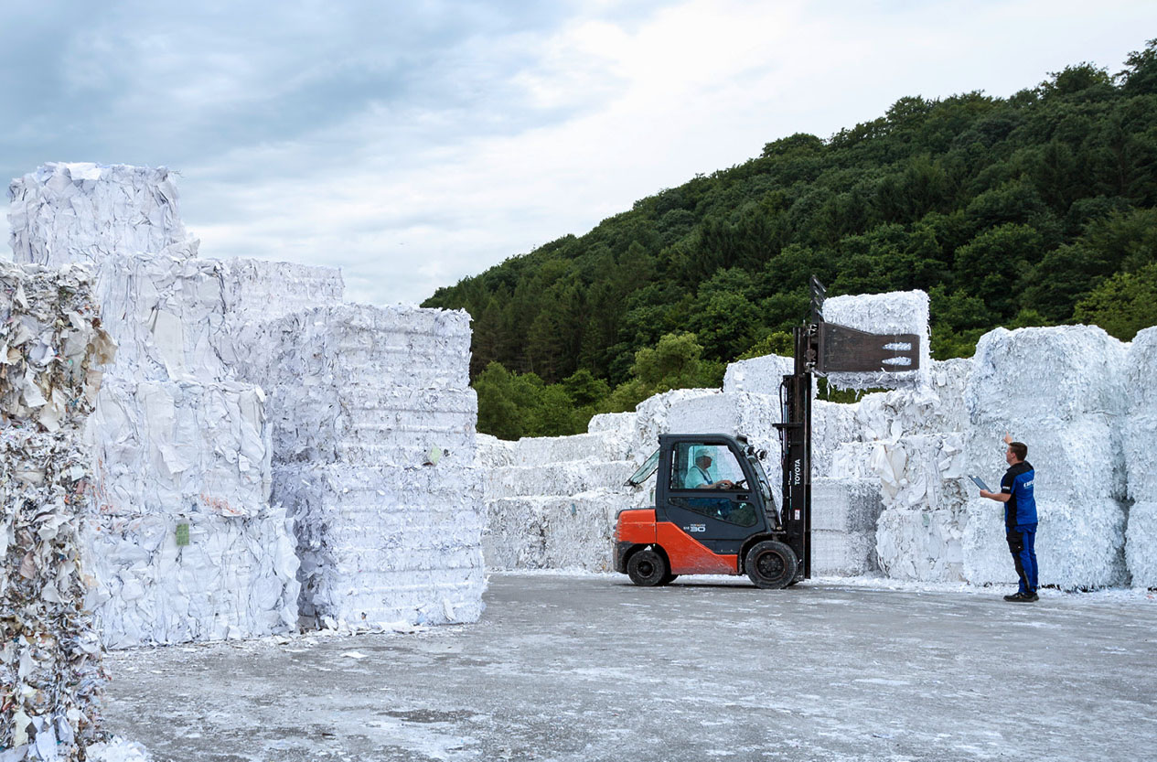 Rauhfaser reloaded: Wie Altpapier zur nachhaltigen Innovation wird – in deiner Projektwoche bei ERFURT
